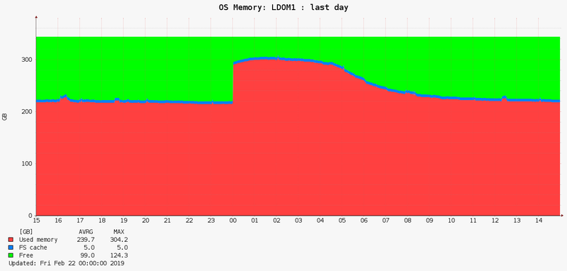 Solaris LDOM memory usage